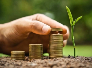 Compra de Créditos de Carbono em Belo Horizonte