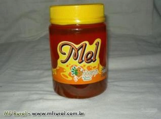 Mel de Abelhas Artesanal Puro - Diversas Floradas