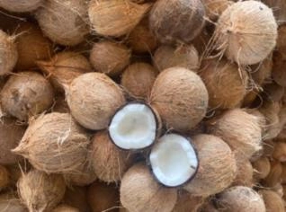 Coco Seco Gigante com Massa Grossa