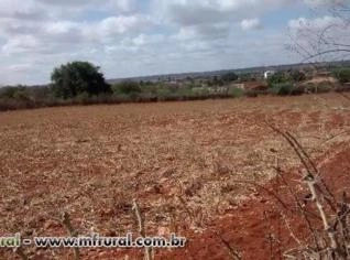 Terreno de 18.000 m² para loteamento em São Gabriel