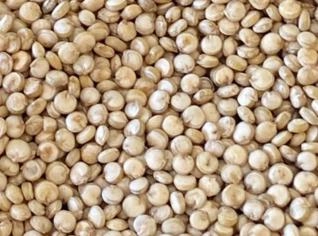Quinoa Branco Premium 100% Brasileira
