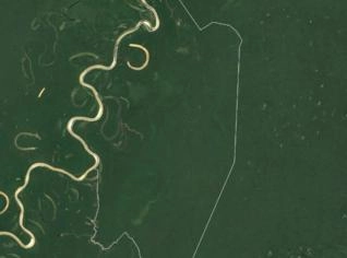 Fazenda de Floresta Nativa em Carauari