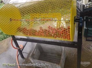 Lavador Manual de Beterraba e Legumes - 30kg/h