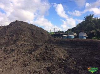 Condicionador de Solo Orgânico para Agricultura