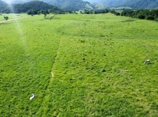 Fazenda Plana no RJ - 240 Alqueires