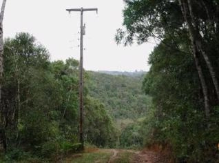 Chácara em Tijucas do Sul - 8,5 Alqueires Rurais