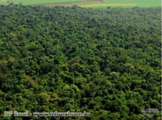 Reserva Legal em Mata Atlântica - Riolândia, SP