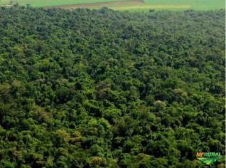 Reserva Legal de Mata Atlântica em Riolândia SP