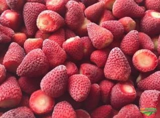 Morangos Congelados Importados IQF 1kg - Campinas/SP
