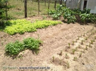 Haras e Cabanha à Venda em Salvador - BA