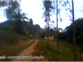 Fazenda Ribeirão de 60 ha com Água e Turismo em MG