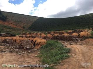 Carvão Vegetal de Alta Produção em Iúna - ES