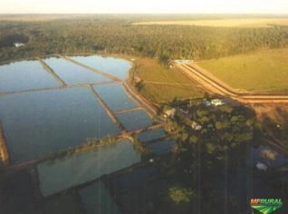 Investimento em Piscicultura com 184 Hectares de Represas