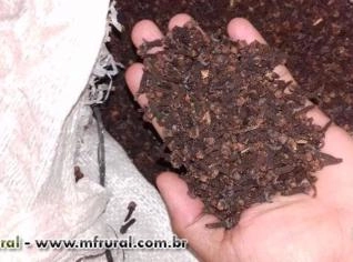Cravo da Índia - Ótimo Preço e Qualidade