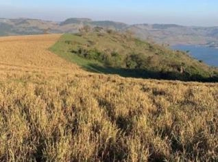 Fazenda 60 alqueires em Timburi-SP à venda