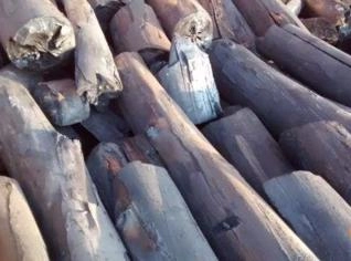 Carvão Vegetal de Qualidade para Churrasco