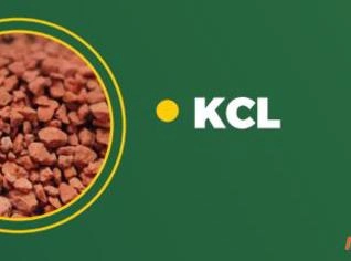 KCL