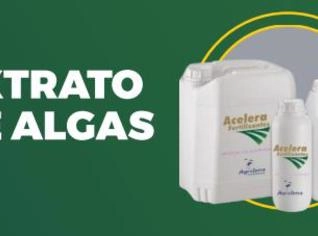 Extrato de algas