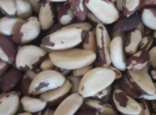 Castanha do Pará Inteira M – Frete Grátis, 32/kg