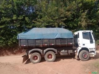 Cama de Frango de Qualidade - Bom Preço