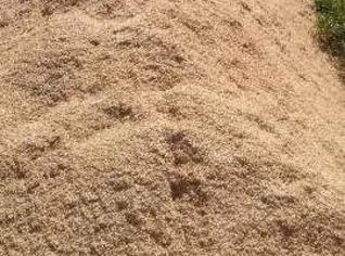 Serragem e Cavaco de Eucalipto - TS Comércio