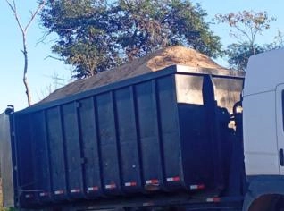 Serragem de Eucalipto - Forragem de Qualidade