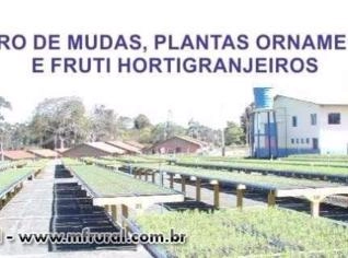 Condomínio Industrial em Carambeí - Barracões a partir de 200m²