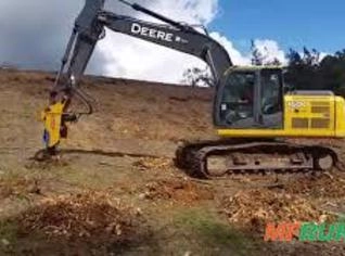 Serviço de Destoca de Eucalipto e Pinus