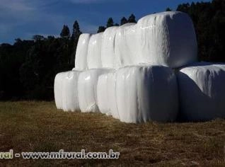 Feno Tifton Premium - Fardos 16-18 kg em SC