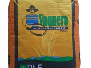 Sementes de Capim Vaquero - Saco 5kg