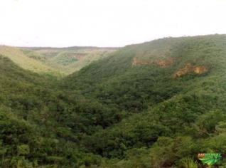 Reserva Ambiental de 343 ha em Grão Mogol - MG