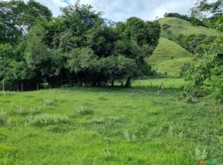 Chácara de 3 hectares em Pouso Alto