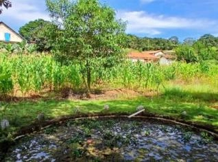 Chácara Tranquila em Dom Viçoso - 1170 m²