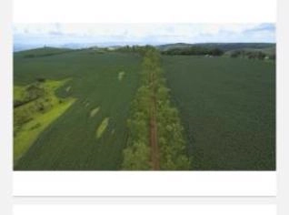Fazenda 1.238 ha à venda em Pimenta - MG