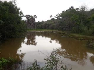 Fazenda Produtiva a 5km de Prata - MG