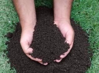 Húmus de Minhoca Orgânico - Adubo Natural e Eficiente