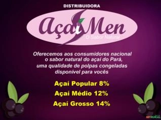 Açaí em Barra Premium - Origem Pará