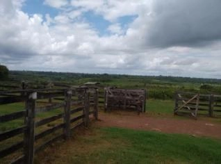 Fazenda Santa Cecília em Paragominas, Pará