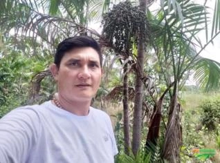 Investidor para Ampliação de Plantio de Açaí em PA