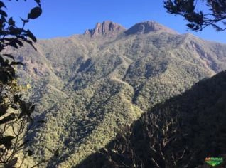 Fazenda Legal em Cruzeiro SP com Reserva Ambiental