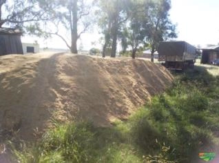 Casca de Arroz In Natura e Moída - Qualidade Garantida
