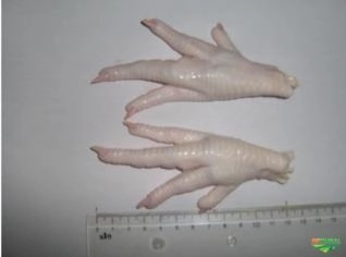 Chicken Paws Halal - Grade A e B
