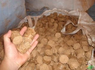 Briquete, Bripell e Pellet de Biomassa Compactada