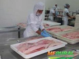 Tambaqui em Filetes e Costelas - Qualidade Certificada