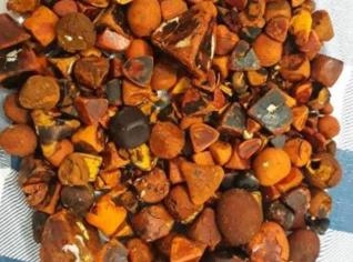 Compro Pedras de Fel Bovinas - Goiânia