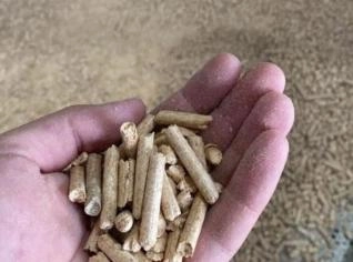Pellet de Madeira 100% Pinus - Alto Poder Calorífico