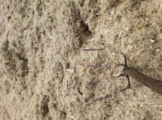 Bagaço de Cana para Composto e Confinamento