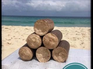 Briquete Eucalipto para Forno a Lenha - Rio de Janeiro