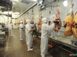 Frigoríficos para Bovinos no RS com Licença Completa