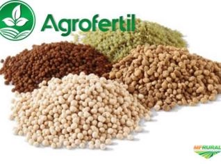 Fertilizante NPK Importado com Melhor Custo-Benefício